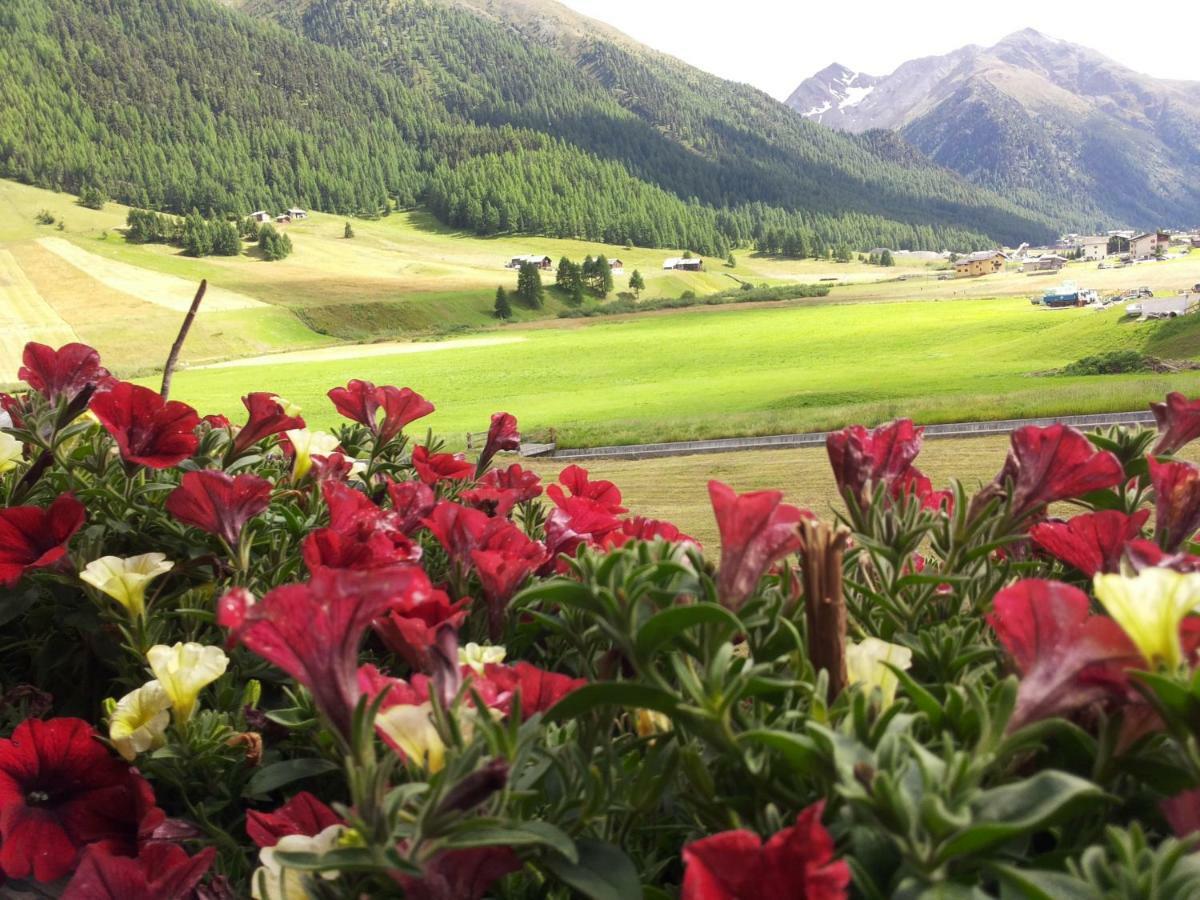 Al Molino Apartment Livigno Exterior photo